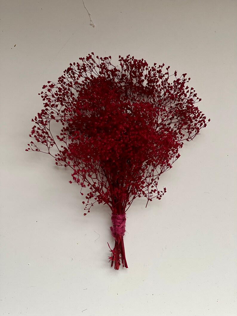 May include: A bundle of dried red baby's breath flowers. The delicate, airy blooms are tightly clustered, forming a full, textured bouquet. The stems are bound with a pink twine, creating a rustic and natural aesthetic. Perfect for home decor or crafting.