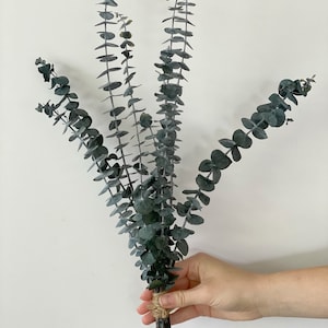 Eucalyptus bouquet/Preserved eucalyptus bouquet/Wedding flowers Decoration/House Floral decor