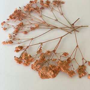 Paquet de 20 PCS Pressé Souffle de pêche sec - Fleurs Gypsophile - Pressé Souffle de bébé séché - Carte d’invitation florale Making-Party Favo