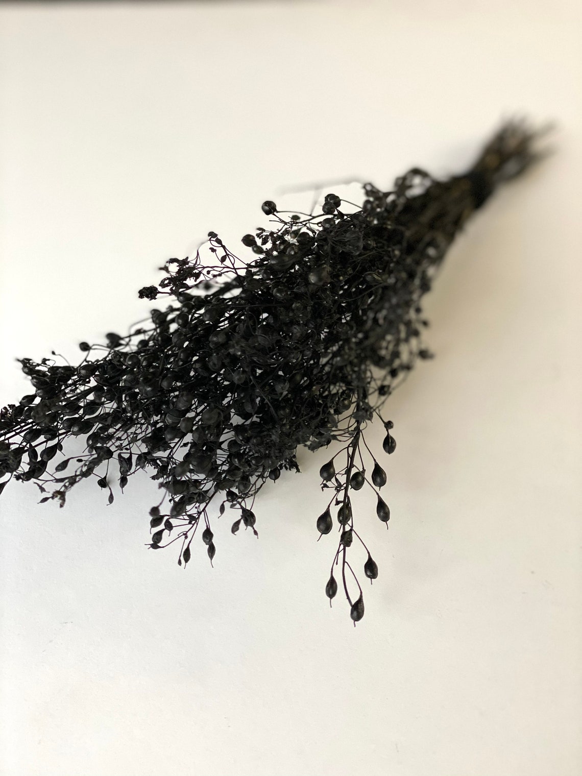 Black Dried Flowersdried Liniumdried Black Tear Drop Etsy