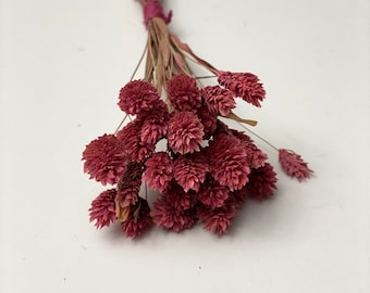 Rose  Painted Phalaris Grass-Dried decorative grass-Flowers for resin-Small dried flowers bouquet-Minibouquet