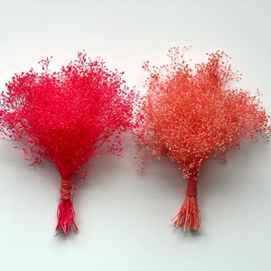 Puede incluir: Dos ramos de aliento de bebé seco, uno rosa y otro melocotón, atados con cuerda.