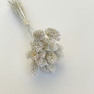Painted Phalaris Grass-Dried decorative grass-Flowers for resin-Small dried flowers bouquet-Minibouquet-White flowers