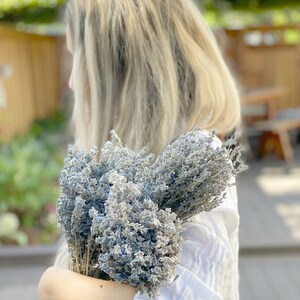 English Lavender Bunches Dried  ; Lavender, Dried, Lavender Bouquets, Lavender, Wholesale Lavender Bunches, Weddings