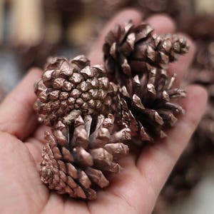 Small Rose gold Dried Pine cones, Pine cone, Christmas supplies image 3