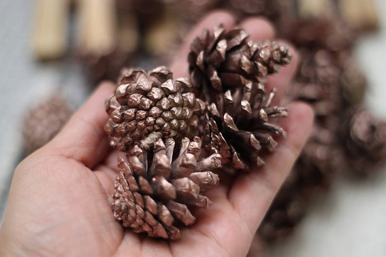 Small Rose gold Dried Pine cones, Pine cone, Christmas supplies image 3