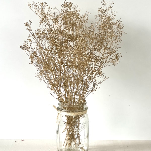 Glittered Champagne dried baby breath,Dried gold Sparkle Flowers, Metallic  Champagne Dried flowers bunch