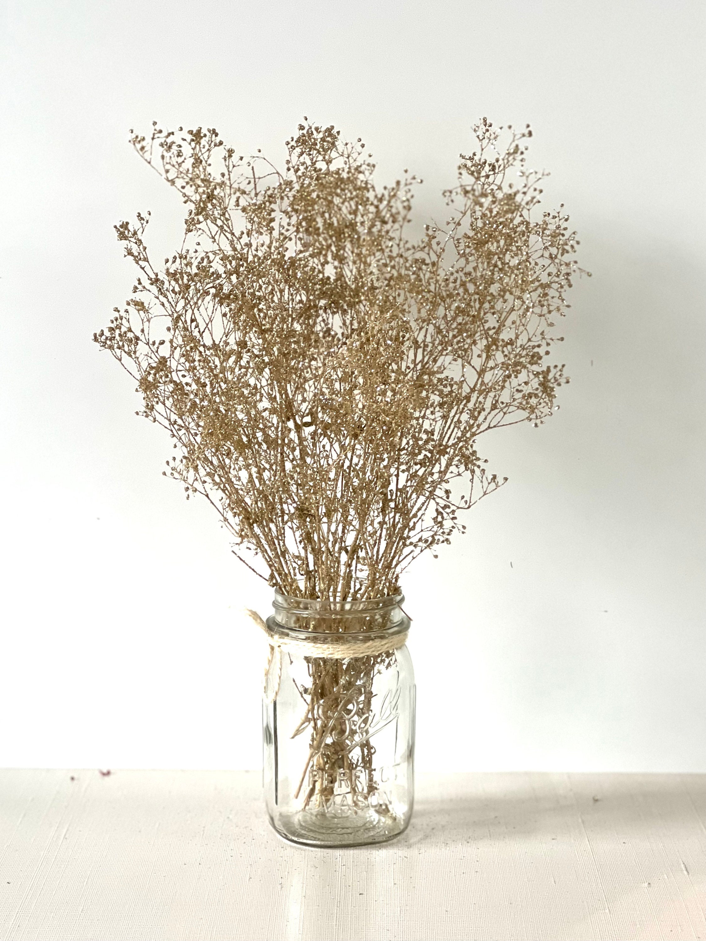 Baby's Breath Floral Arrangement in Vase (Set of 10) Primrue