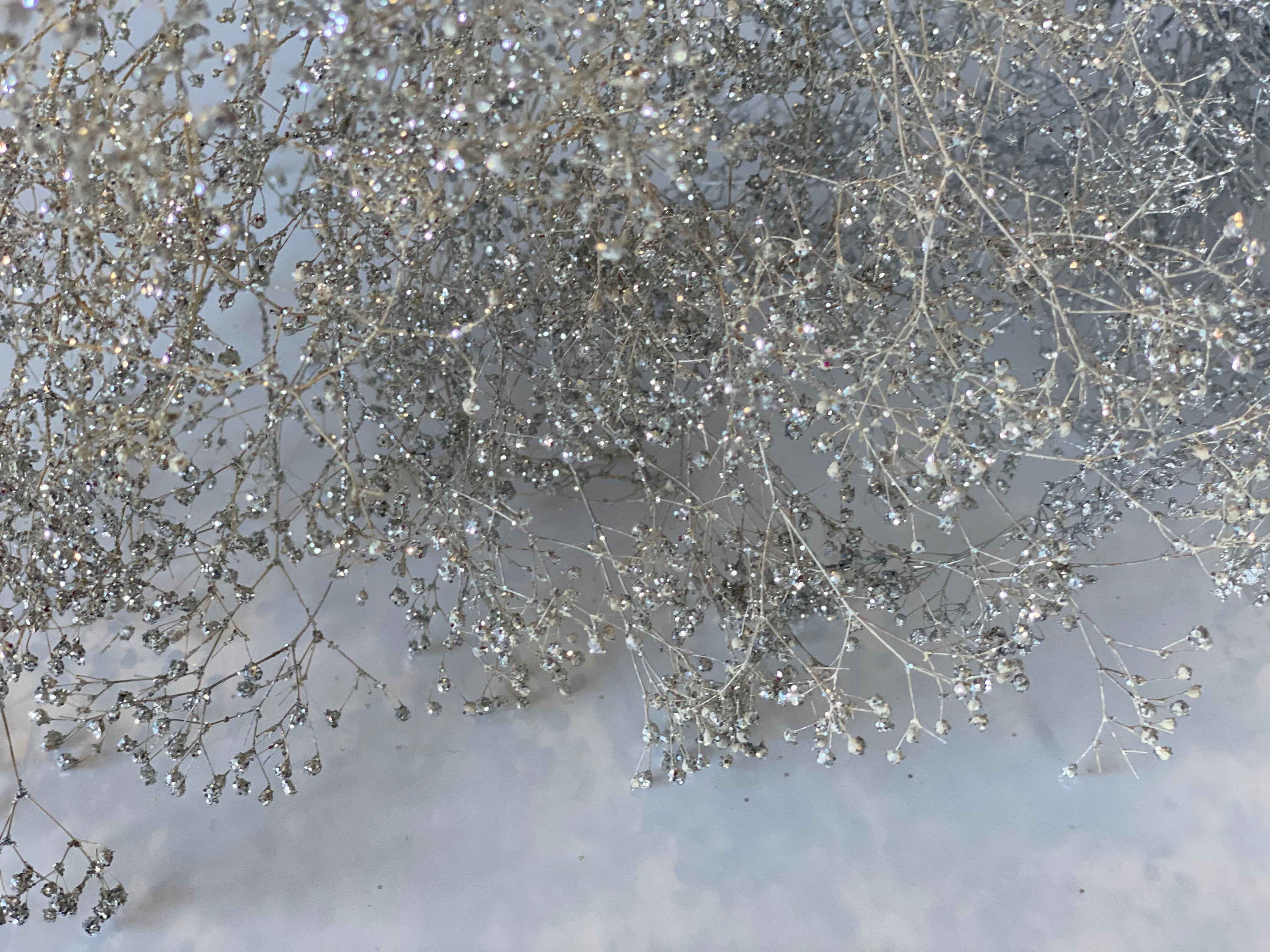 Silver Dried Baby's Breath, Glittered Silver Dried