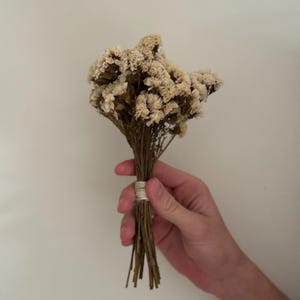 Mini Dried Flower Bouquet ;Mini Bouquet ;Small Dried Floral Arrangement ;Dried Flower Bunch ;Dried Flowers - Gift add on ;Dried Roses