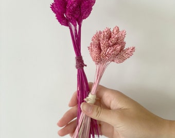 Painted Phalaris Grass-Dried decorative grass-Flowers for resin-Small dried flowers bouquet-Minibouquet
