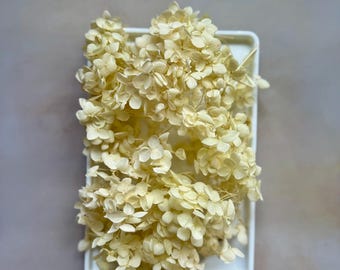 Ivory Preserved Hydrangea Heads: DIY Wedding Cake Crafts