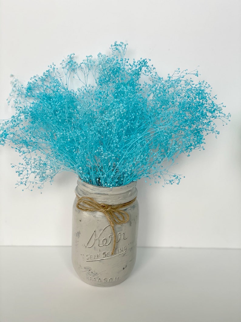 Aqua Blue Dried baby breath Turquoise Dried baby breath Etsy