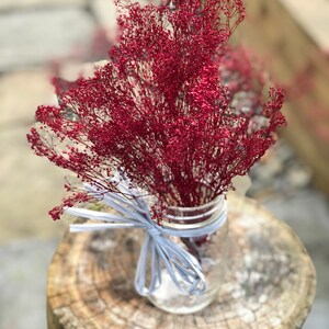 Peut inclure: Un bouquet de fleurs s&eacute;ch&eacute;es rouges dans un bocal en verre transparent avec un ruban gris nou&eacute; autour du col du bocal. Le bocal est pos&eacute; sur une souche d'arbre.