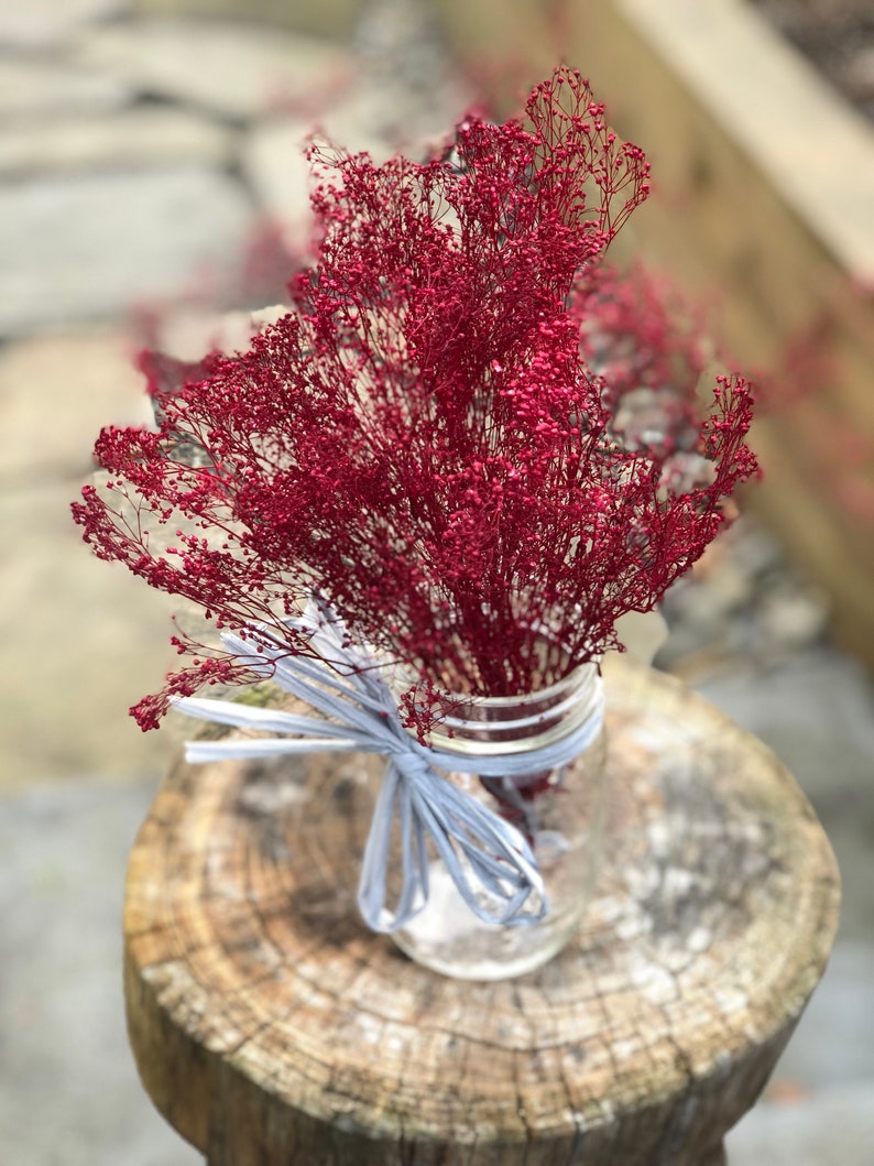Peut inclure: Un bouquet de fleurs s&eacute;ch&eacute;es rouges dans un bocal en verre transparent avec un ruban gris nou&eacute; autour du col du bocal. Le bocal est pos&eacute; sur une souche d'arbre.