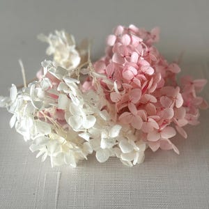 White and Pink  Preserved hydrangea small hydrangea wedding flowers -Dried preserved real hydrangea heads-Preserved flowers heads