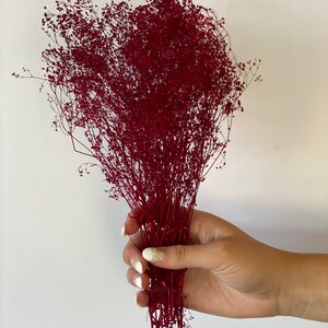 Peut inclure: Un bouquet de fleurs de gypsophile s&eacute;ch&eacute;es de couleur rouge bordeaux.