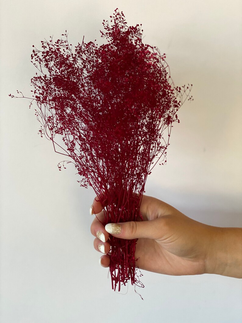 Peut inclure: Un bouquet de fleurs de gypsophile s&eacute;ch&eacute;es de couleur rouge bordeaux.