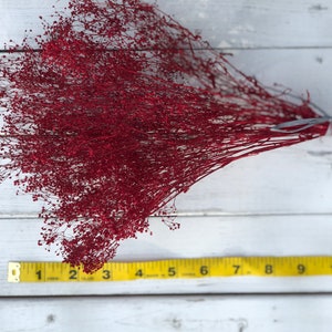 Peut inclure: Un bouquet de gypsophile s&eacute;ch&eacute; de couleur rouge fonc&eacute;. Les tiges sont li&eacute;es ensemble avec un ruban gris. Un m&egrave;tre ruban jaune se trouve au premier plan, montrant que la longueur des tiges est d'environ 28 cm.