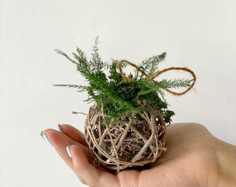 Natural Twine Christmas Ornaments; Grapewine Christmas ornaments- Winter decor-Farm house Christmas Decor