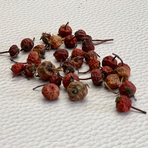 Rose Hips -Rosa canina-  Dried Whole Berries-