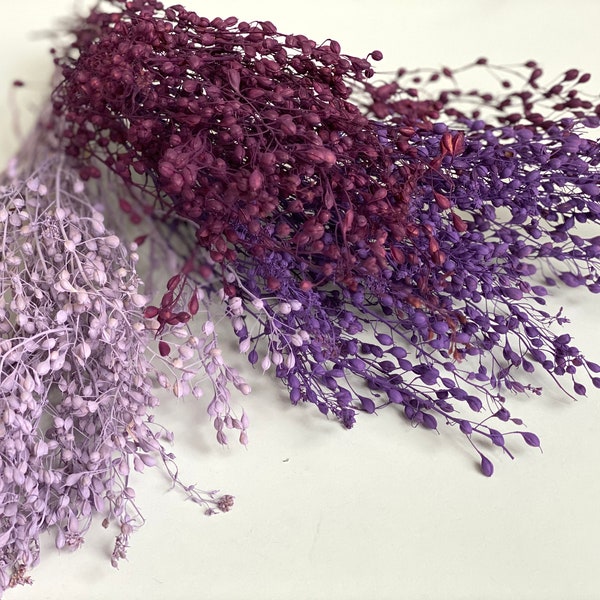 Dried Flowers - Etsy