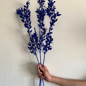 Royal  blue Preserved Ruscus- Preserved Flowers bouquet-Blue Bouquet