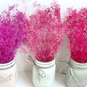 May include: Three mason jars with white paint and the word "Ball" on the front. Each jar is filled with a different color of dried baby's breath: pink, light pink, and magenta.