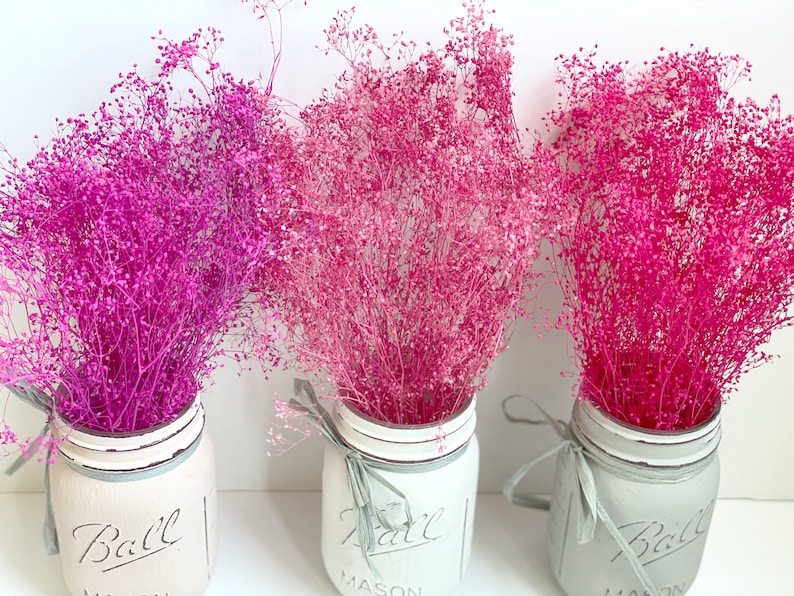 May include: Three mason jars with white paint and the word "Ball" on the front. Each jar is filled with a different color of dried baby's breath: pink, light pink, and magenta.