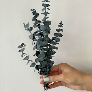 Eucalyptus minibouquet-Preserved eucalyptus-Dried flowers mini bouquet