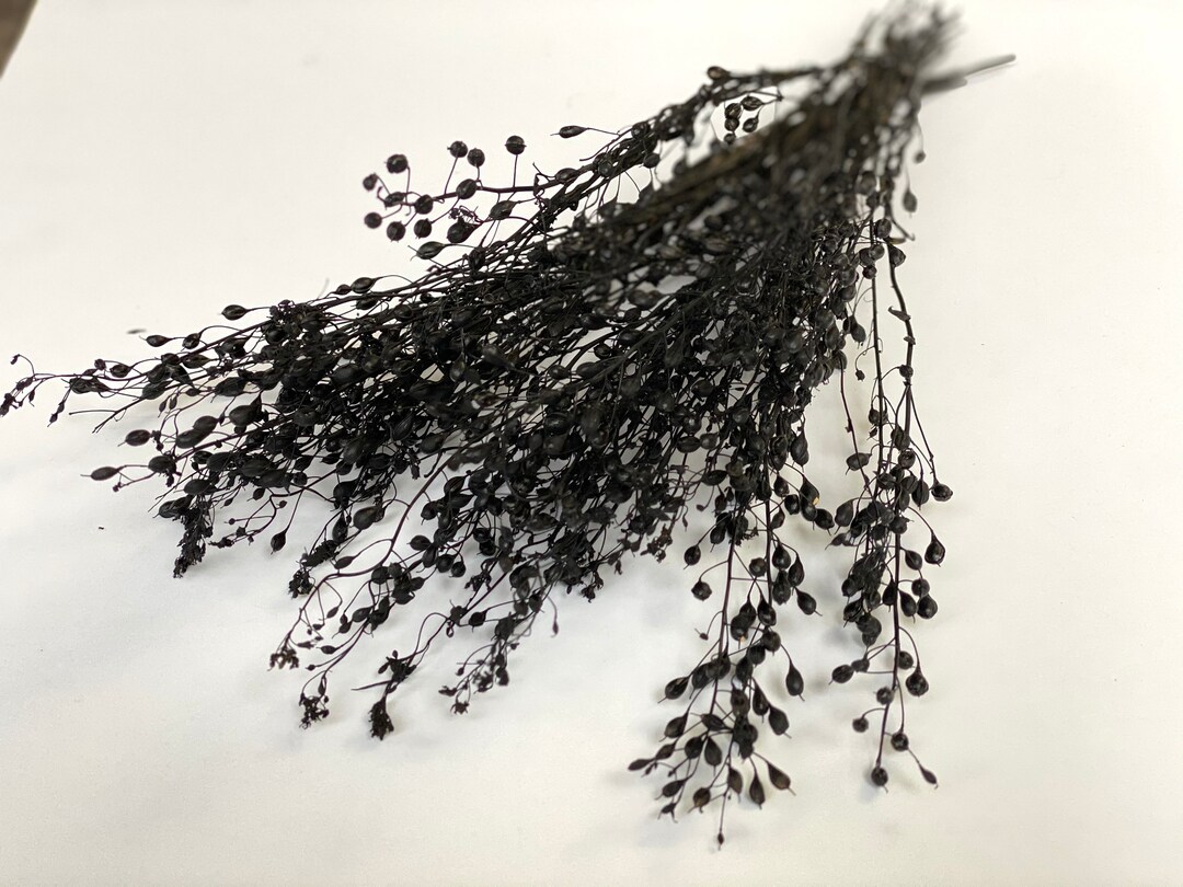 Black Dried Flowersdried Liniumdried Black Tear Drop Bouquetblack