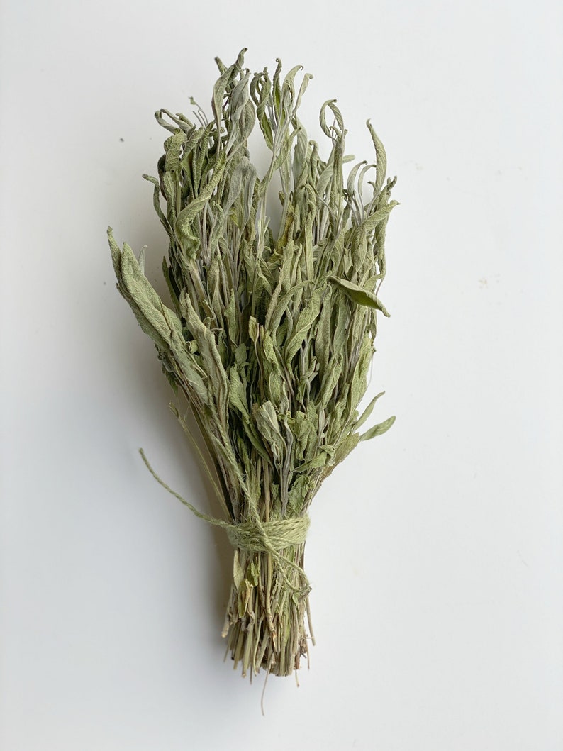 Air Dried Sage BunchSage dried herbsFragrant dried sage Etsy