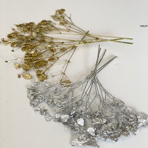 20個パック 押し花 カスミソウ - 花 カスミソウ - 押し花 乾燥 カスミソウ - 花の招待状作り - パーティーの記念品