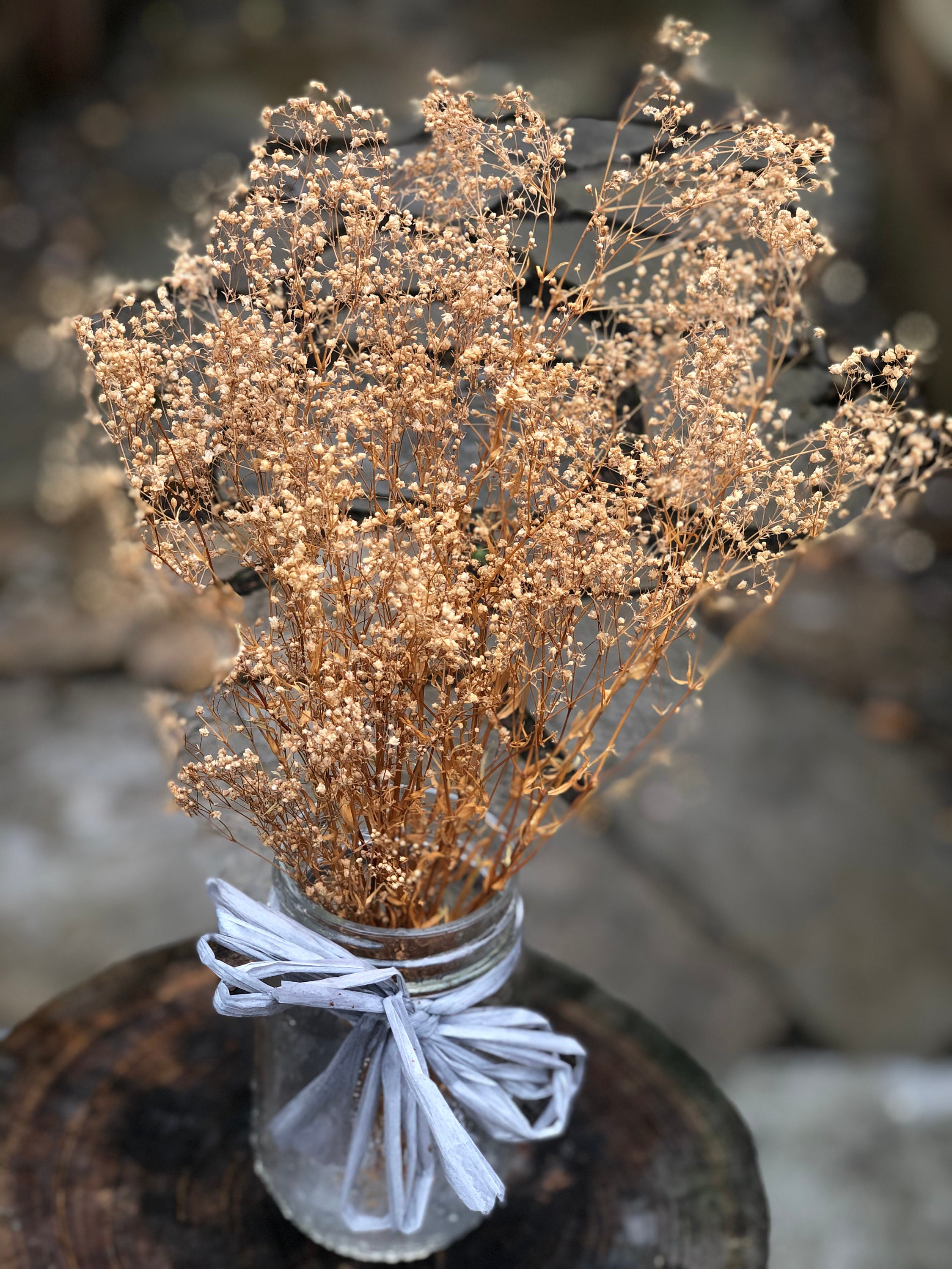 Natural dried Baby breath bunch dried flowers bunch Etsy