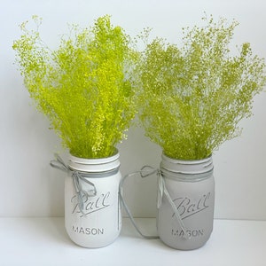 Lime Green Dried Baby Breath, Dried Flowers Supplies, Small Bunch Gypsophila