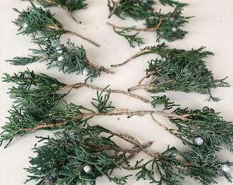 May include: Several sprigs of green juniper branches with small blue berries.