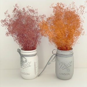 Terra-cotta orange , Rust Orange Baby breath,Red Clay Dried Rust Orange gypsophila, Earth Tone flowers