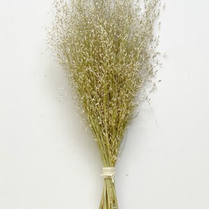 Dried ornamental grasses-Air Dried Bouquet-Home Decor-Indian Rice Dried Grass image 3