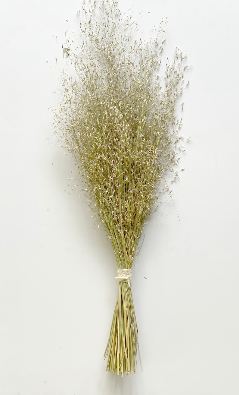 Dried ornamental grasses-Air Dried Bouquet-Home Decor-Indian Rice Dried Grass image 3