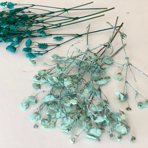 Pacote de 20 PCS Respiração de bebê azul prensado - Flores verde-azuladas Gypsophila - Respiração de bebê seca prensada - Confecção de cartão de convite floral - Favor de festa