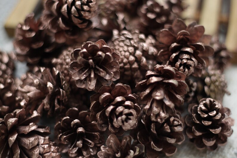 Small Rose gold Dried Pine cones, Pine cone, Christmas supplies image 2