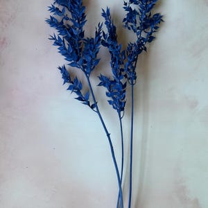 Preserved Blue Ruscus Stems – 26&quot; Tall Dried Foliage for Bouquets & Decor