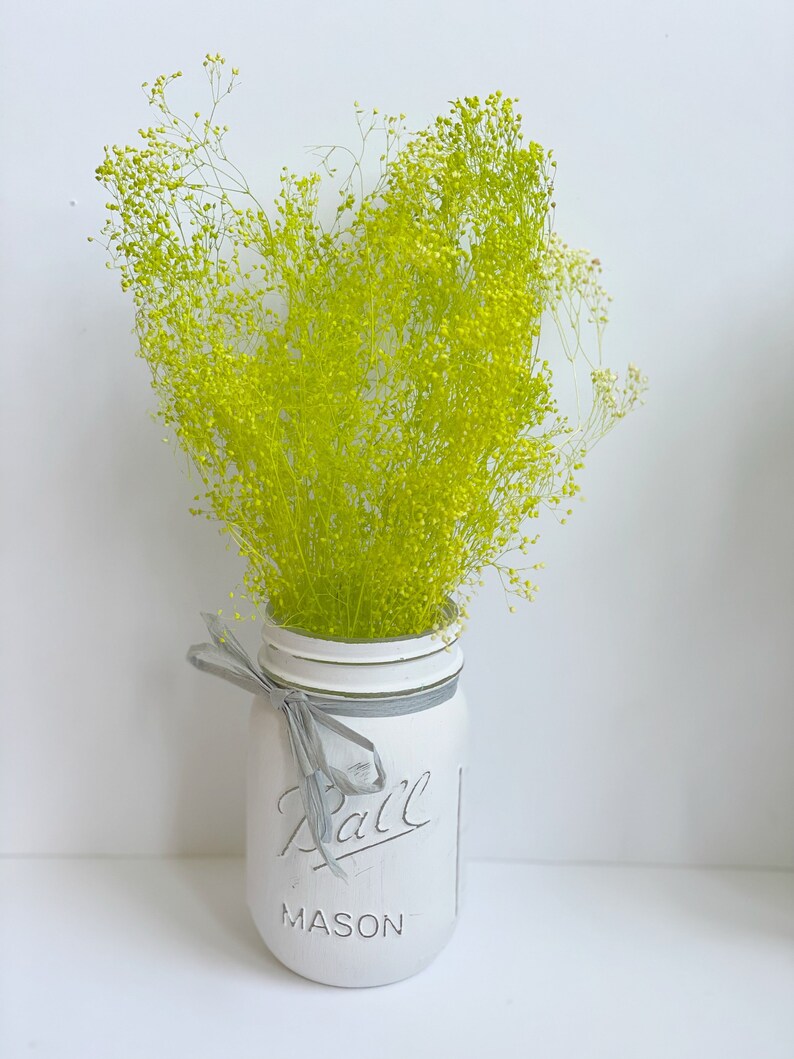 Lime Green Dried Baby Breath Dried Flowers Supplies Small Etsy