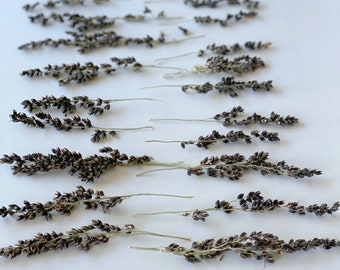 Naturally Black Seed Pod Heads-Gedroogde bloemen-Bloemen voor hars-Kleine gedroogde bloemen