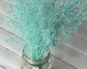 Aqua Blue Dried baby breath, Dried baby breath flowers bunch, Dried aqua gypsophila