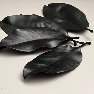 Preserved magnolia Leaves-Dried flowers-Preserved leaves-magnolia leaves