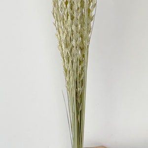 Ornamental Grass bouquet Dried Greenery BouquetDried flowers Bunch image 2