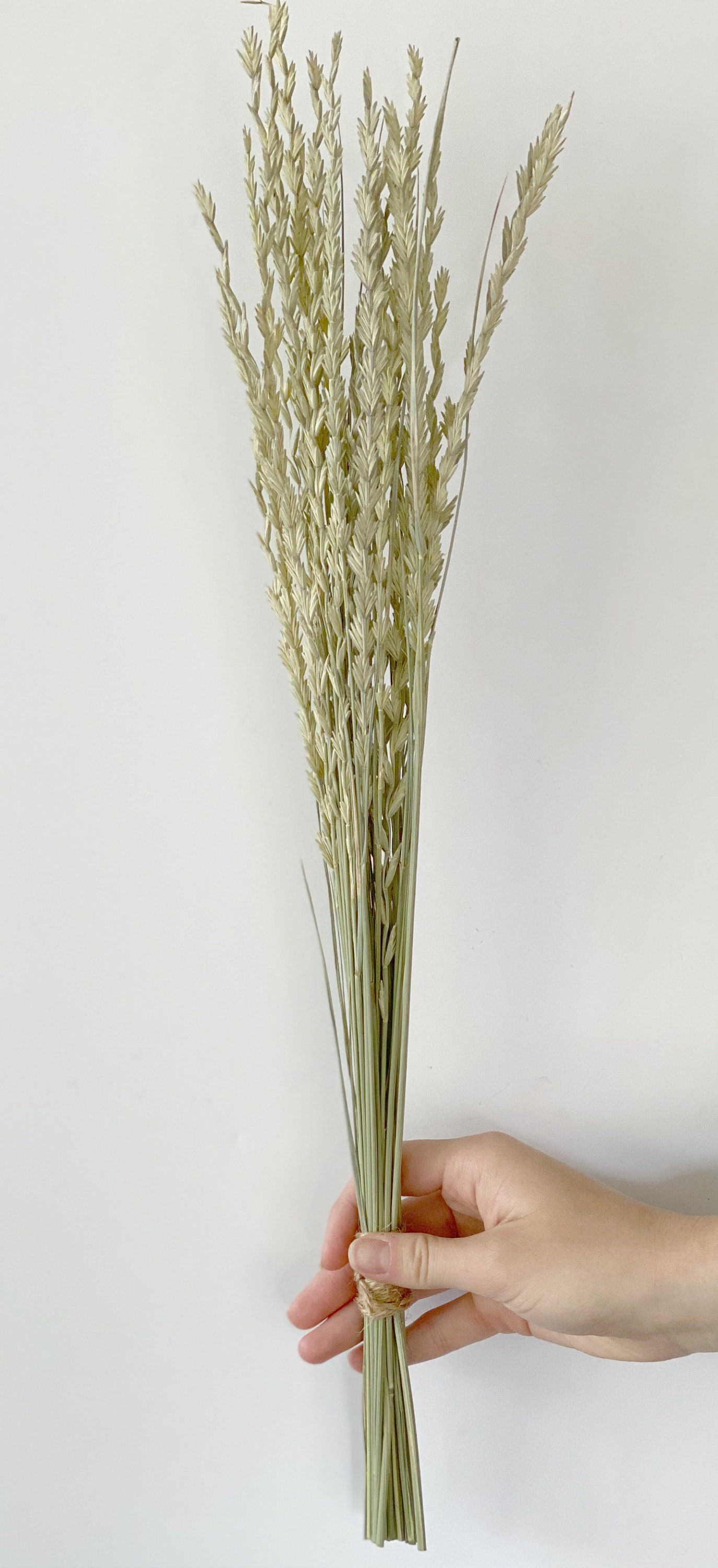 Ornamental Grass Bouquet Dried Greenery Bouquetdried Flowers Etsy