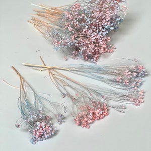 20個パック ドライほうき - 花カスミソウ - 2色のドライカスミソウ - 花の招待状作り - パーティーの記念品