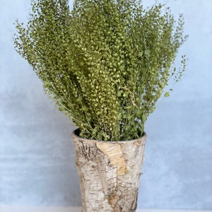 Air Dried pepper grass, Dried Lepidium, Dried grass, Grass bunch, Air Dried green grass , Wedding decor